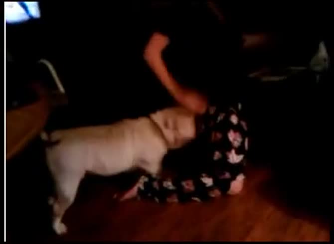 Video :Young teen animal sex with dog